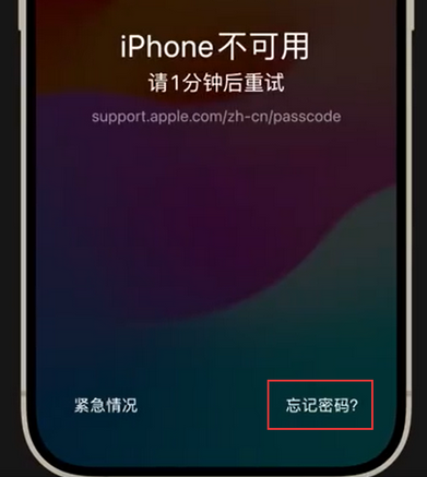 泽州苹果手机密码维修分享iPhone忘记了刚设置的密码 