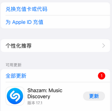 泽州苹果维修分享无法在iPhone上下载或更新应用办法 