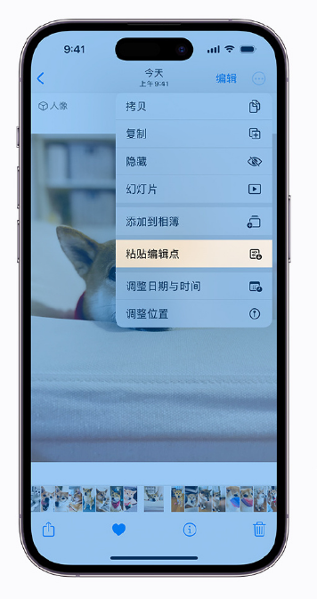 泽州苹果手机维修分享iOS 16 小技巧 