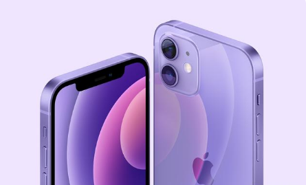 泽州苹果手机维修分享紫色版iPhone 12有什么技术亮点 