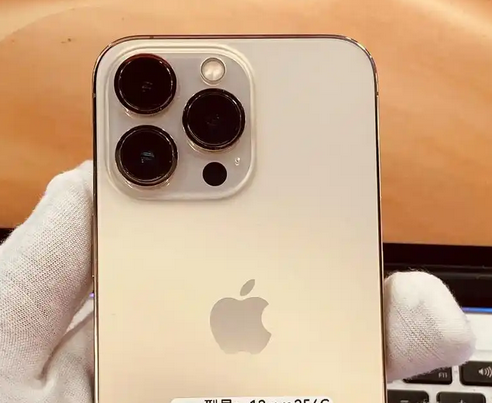 泽州苹果13维修中心分享如何在iPhone13上设置动态壁纸